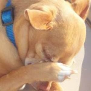 Meet your Posher, Mindi